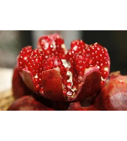 Szerelem? Aphrodité a szépséggel is megajándékozott minket!